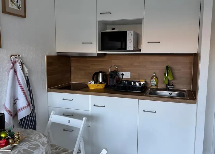 With Terrace In The Center With Ac Antibes