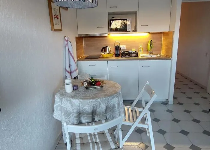 With Terrace In The Center With Ac * Antibes